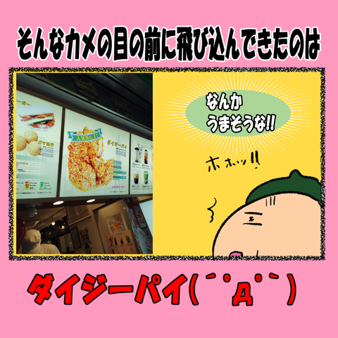 横浜12_005
