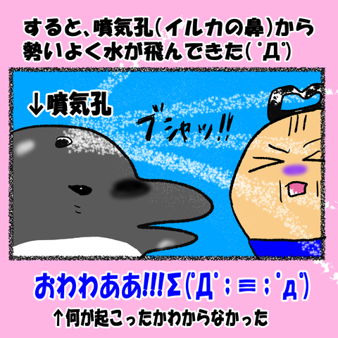 和歌山③_005