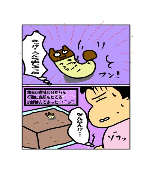 ddf81d1c.jpg