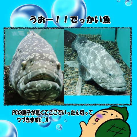和歌山⑨_006