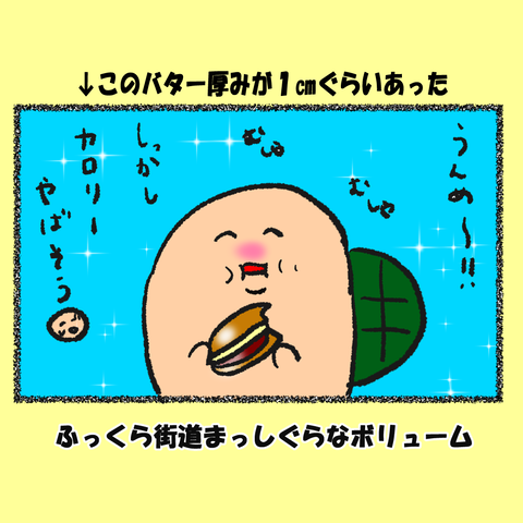 カメ日和⑤_002