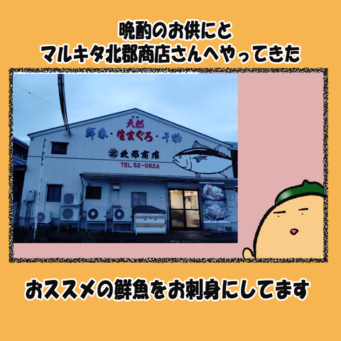 和歌山⑧_001