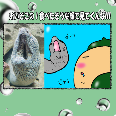 和歌山⑩_005