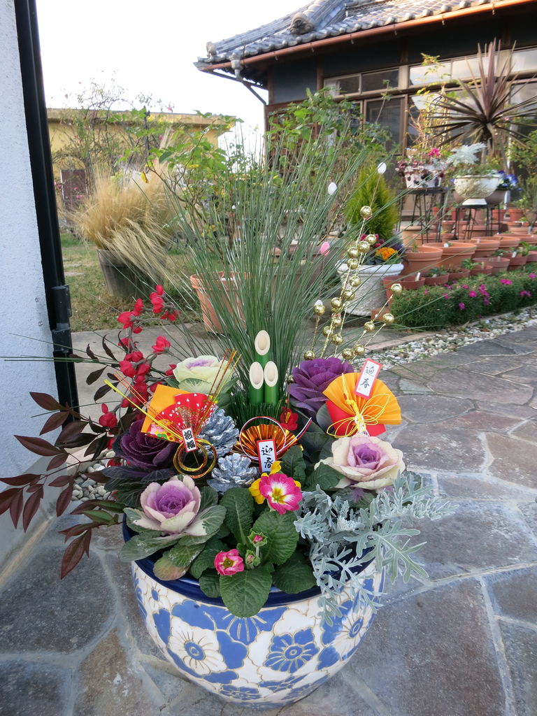 お正月用寄せ植えの植え替えしました ミセスケイの薔薇コラム