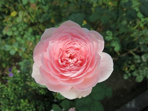 IMG_7574