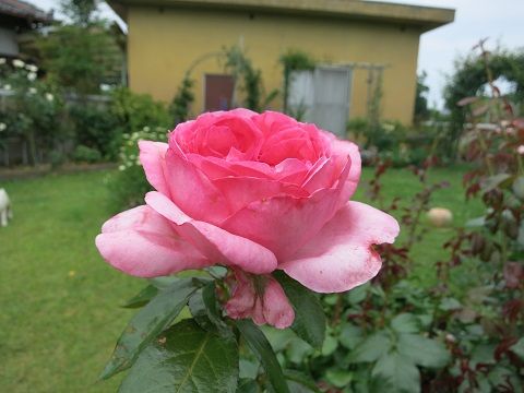 IMG_6744