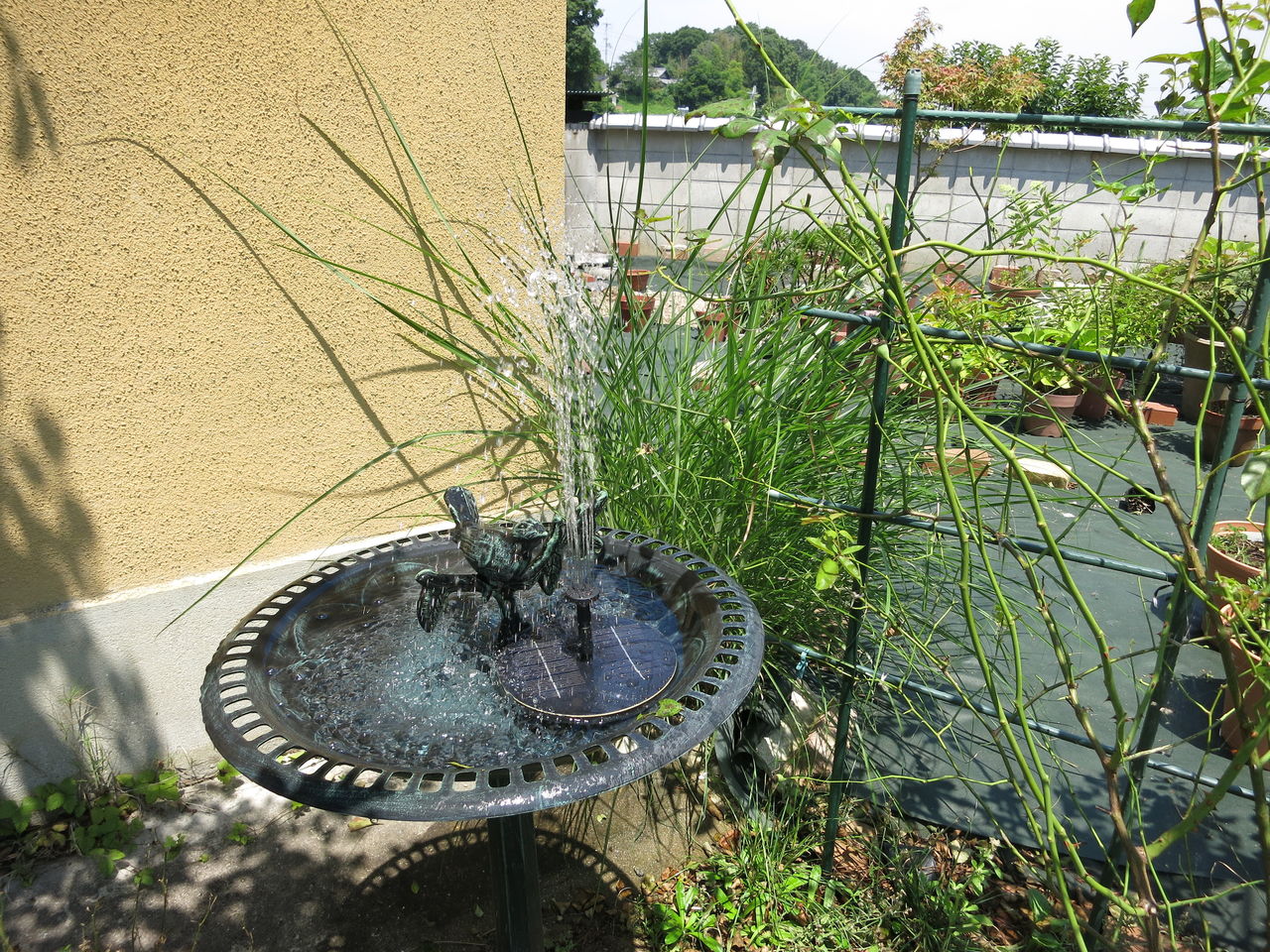 ちょっと笑える ミニ噴水 たくさん咲いたファンタジア ミセスケイの薔薇コラム ちょっと笑える ミニ噴水 たくさん咲いたファンタジア ミセスケイの薔薇コラム