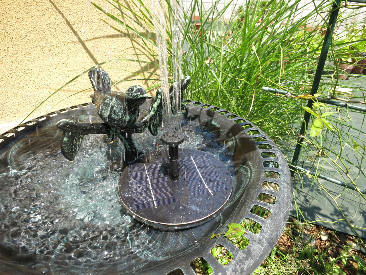 ちょっと笑える ミニ噴水 たくさん咲いたファンタジア ミセスケイの薔薇コラム ちょっと笑える ミニ噴水 たくさん咲いたファンタジア ミセスケイの薔薇コラム