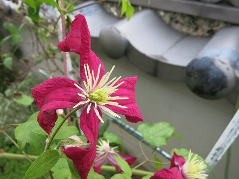 IMG_8858