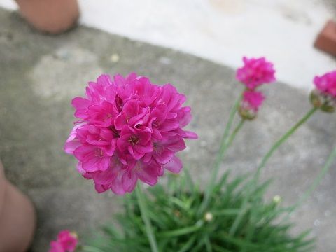 IMG_6682