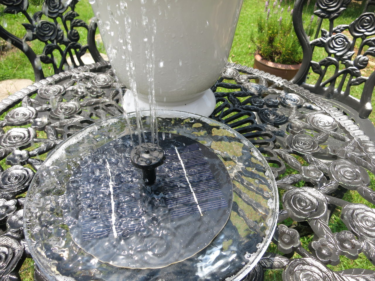 ミニ噴水使いました 白麗 花島の2番花 ミセスケイの薔薇コラム ミニ噴水使いました 白麗 花島の2番花 ミセスケイの薔薇コラム