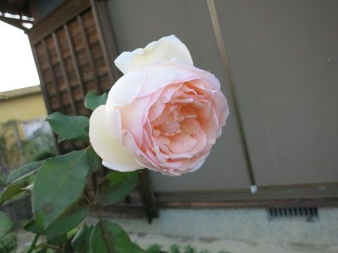 IMG_9067