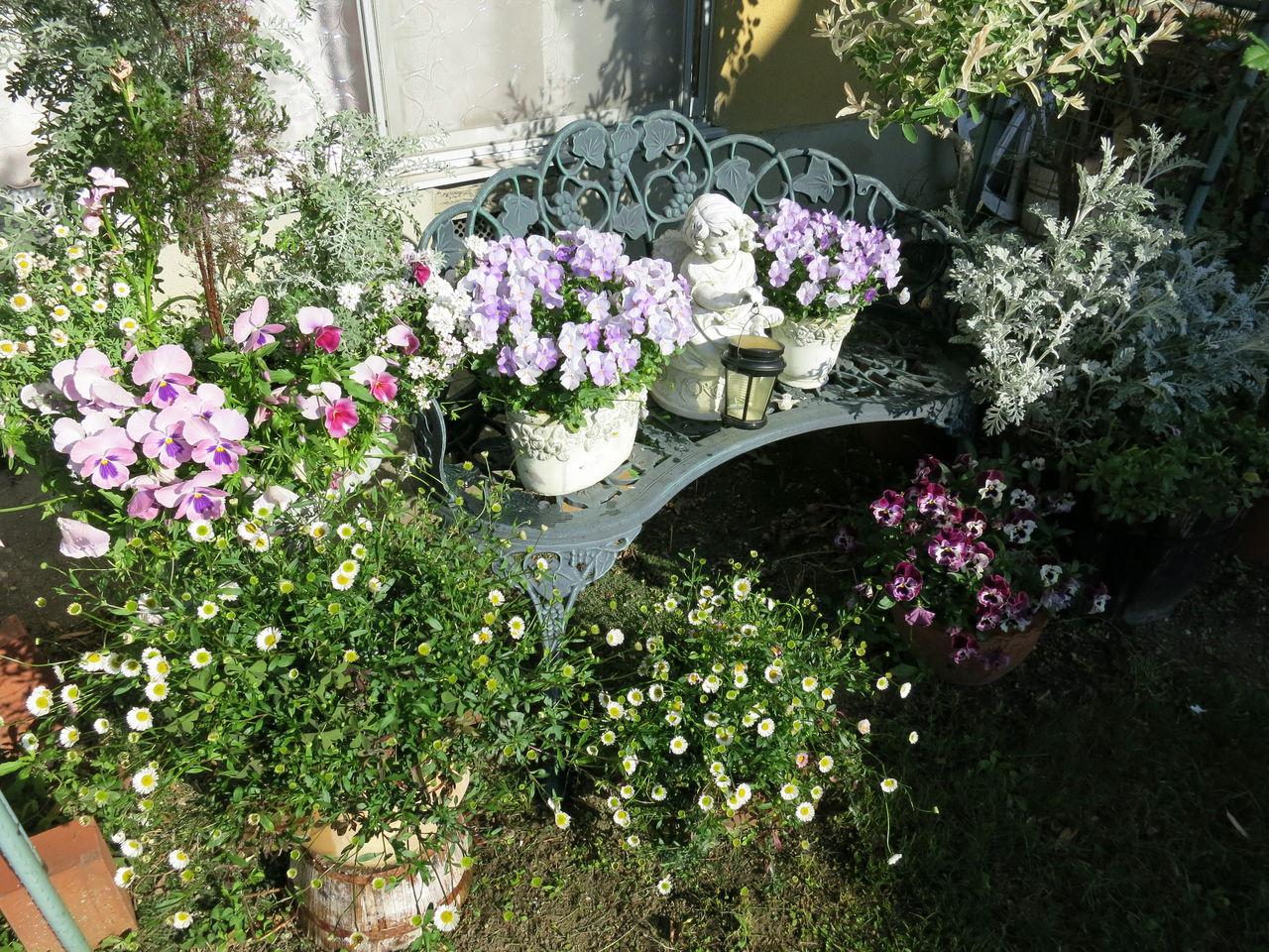 こんもりルピナスとエリゲロン ミセスケイの薔薇コラム