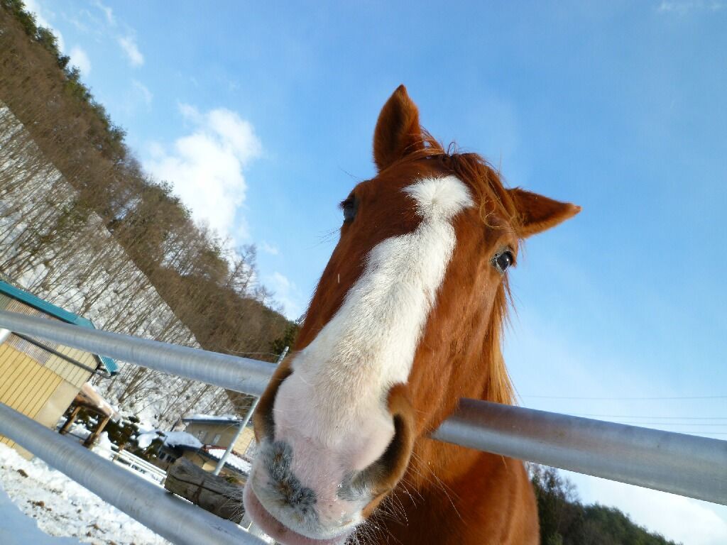 イメージ 1