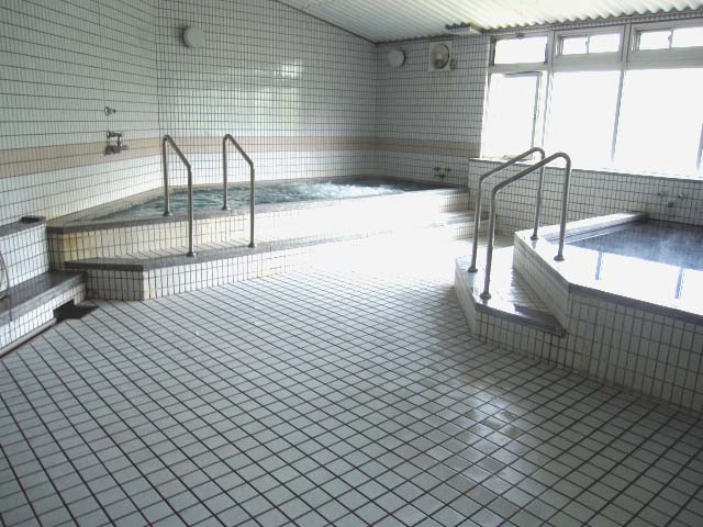 アリストテレスな時間:薬研谷温泉 大崎上島町ふれあいの館に ...