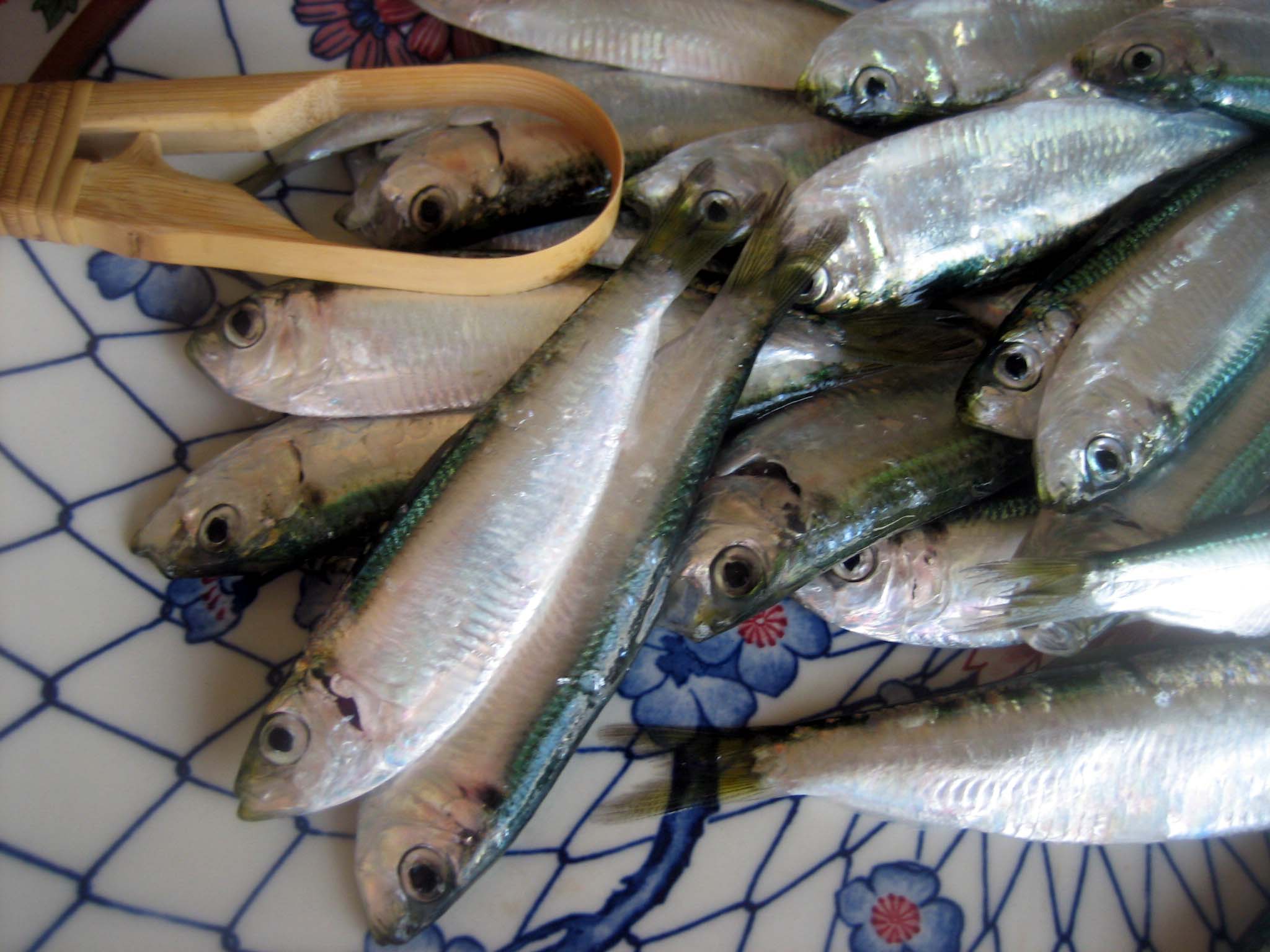 ままかり わち の酢漬けを作りました アリストテレスな時間