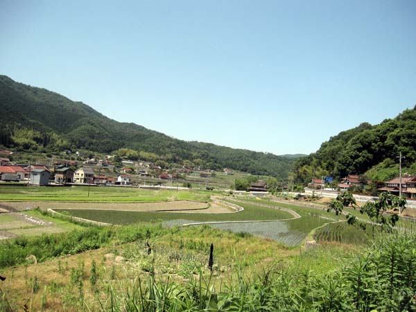 livedoor