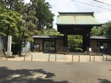 豪徳寺