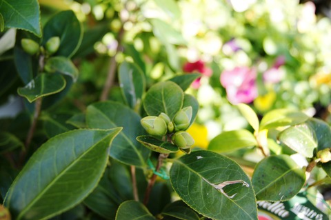 DSC01957