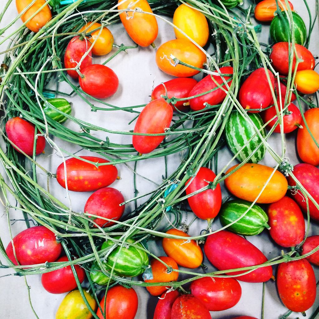 大実烏瓜入荷 : 花重 京都 hanajyu