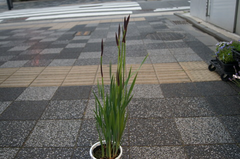 DSC01576