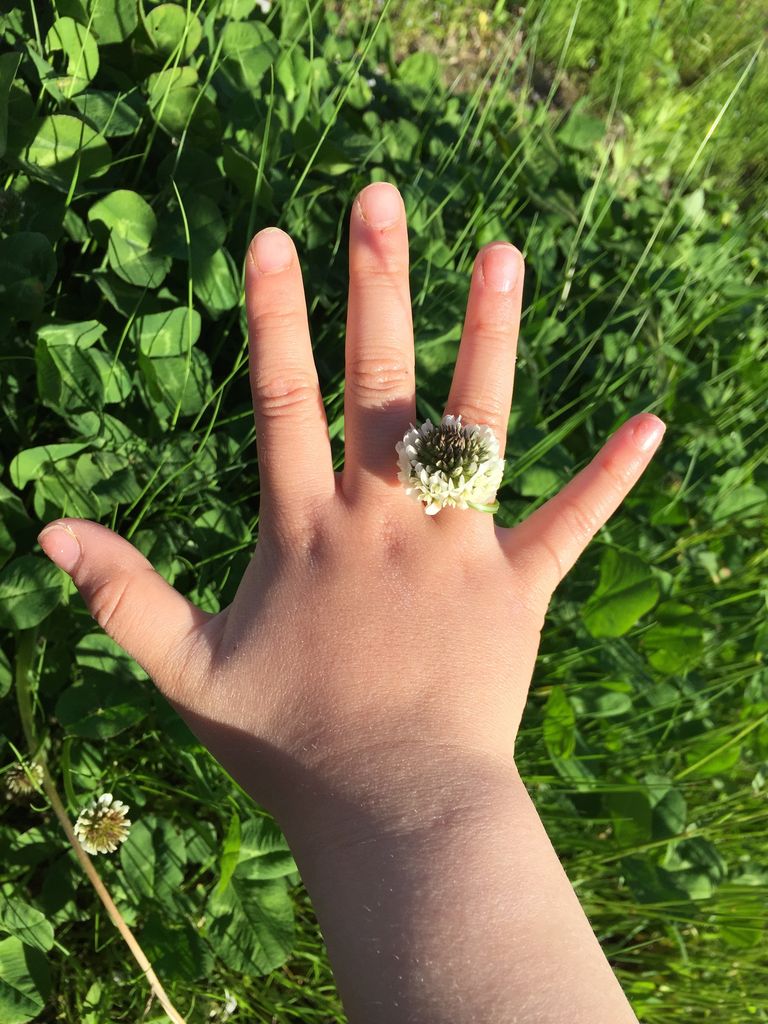 草花遊び 田舎暮らしの花河童
