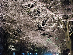 09-04-13�ٲ�Į����ο����ࡡ�饤�ȥ��å�