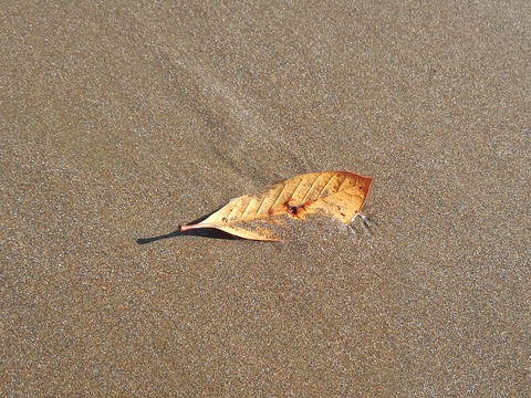 IMG_20240301_144858　9