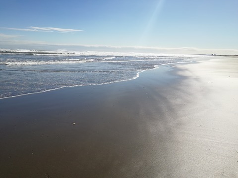 IMG_20240301_131815　4