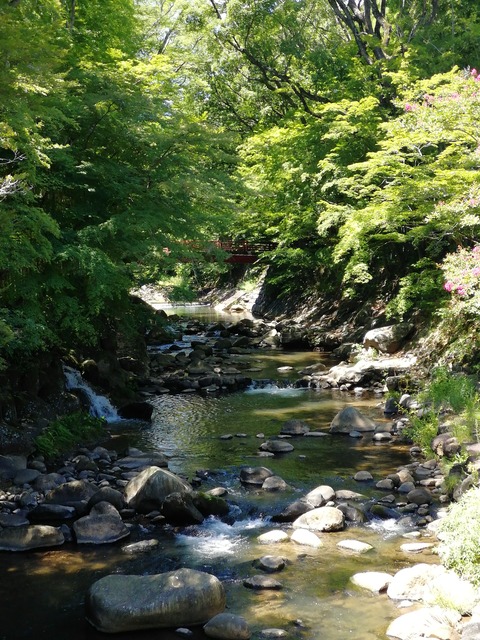 IMG_20250802_110713_BURST001_COVER