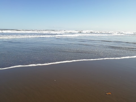 IMG_20240301_144737　8