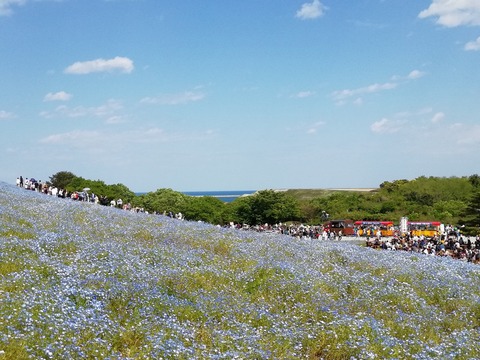 IMG_20210503_133940