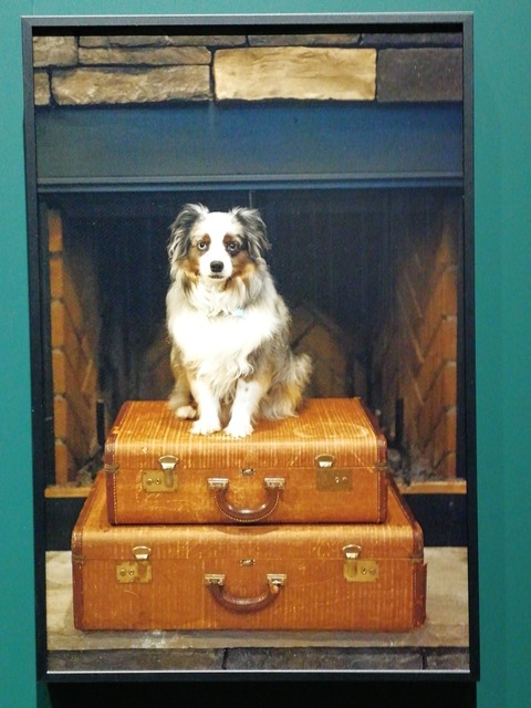 IMG_20230429_142011_BURST002