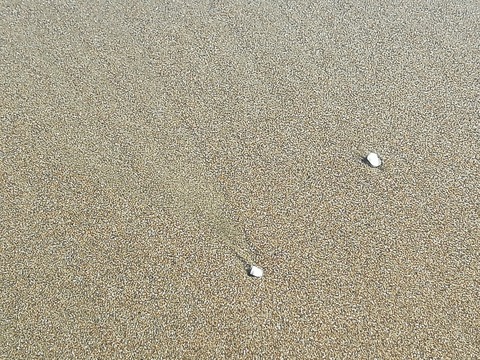 IMG_20240301_145517　10