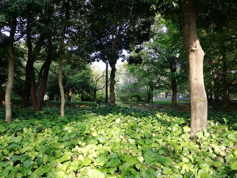 IMG_20230820_160840_BURST002