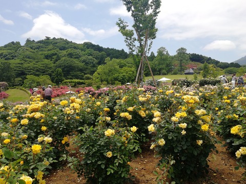 IMG_20220530_113816_BURST002