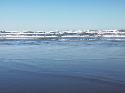 IMG_20240301_144536　7