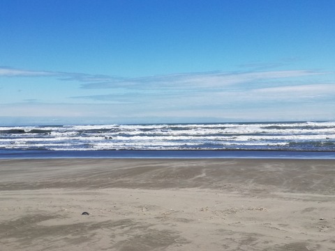 IMG_20240301_130959　1