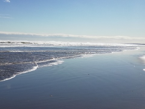 IMG_20240301_131507　3