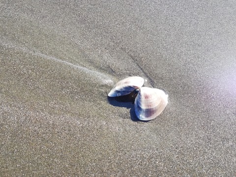 IMG_20240301_132201　6