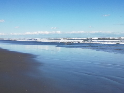 IMG_20240301_131413　2