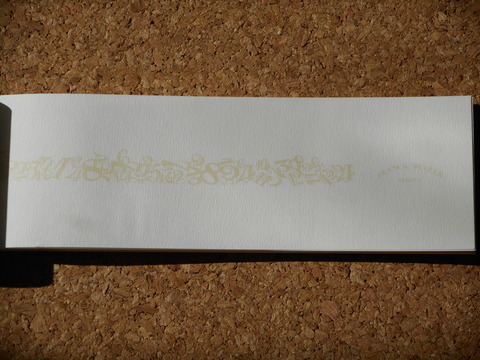 DSCN2392
