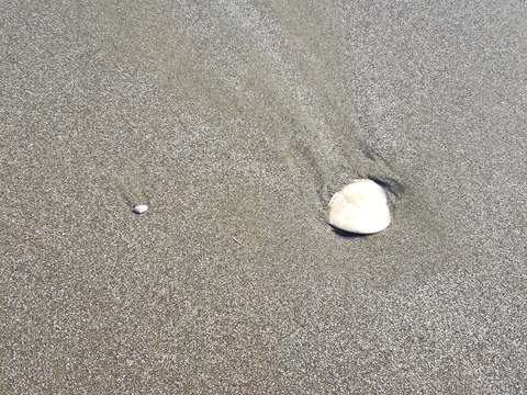 IMG_20240301_132039　5