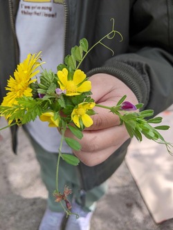 PXL_20230424_花束