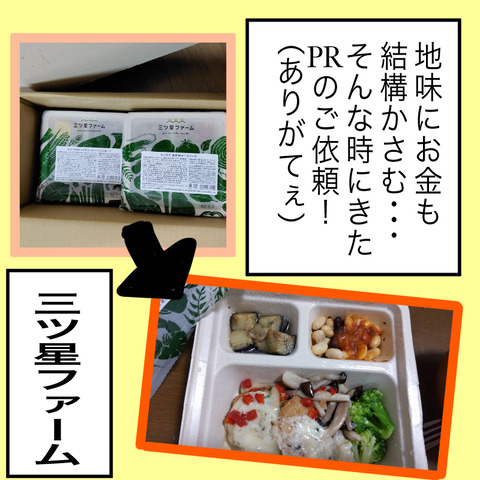 イラスト5