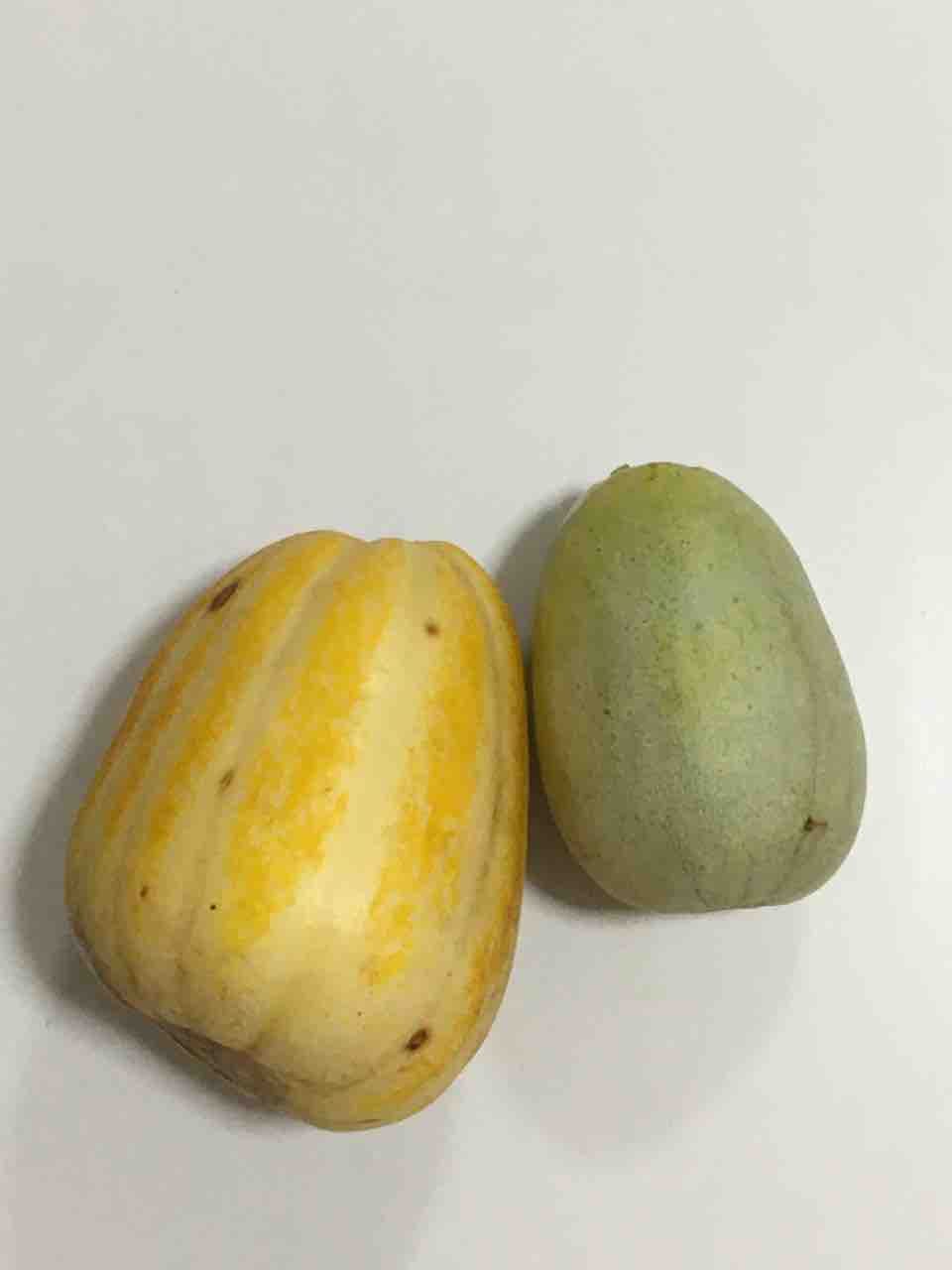 2種類の瓜 四つ葉のクローバー 花子のブログ