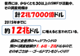 SWF6