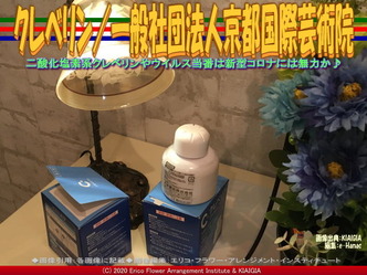 クレベリン(2)／一般社団法人京都国際芸術院画像02
▼画像クリックで640x480pxlsに拡大＠北洞院エリ子花前カレン