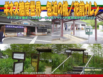 岸和田SA包近の桃／花前カレン画像03