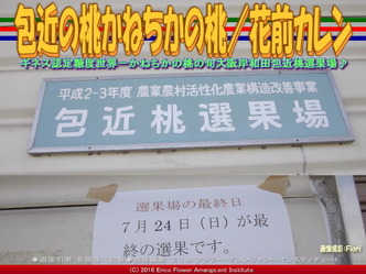包近桃選果場／花前カレン画像02